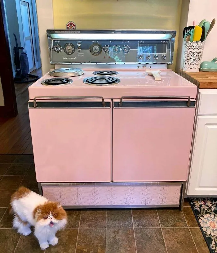 Mi Frigidaire Custom Imperial de 1959