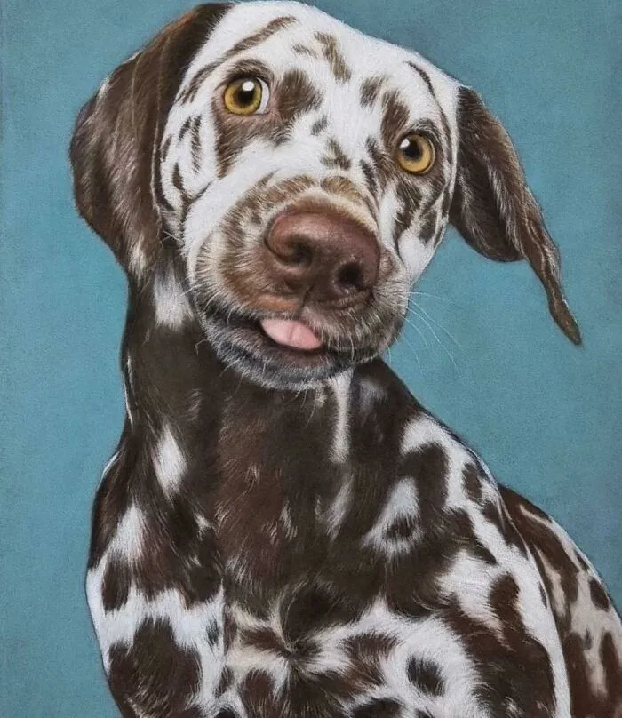 I Am A Pet Portrait Artist