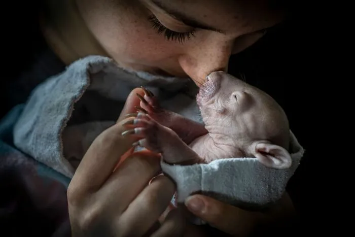 Human/Nature Category Winner -"Nose To Nose" By Douglas Gimesy