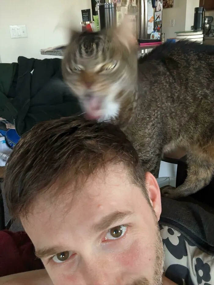 My Cat Didn't Like My Shampoo