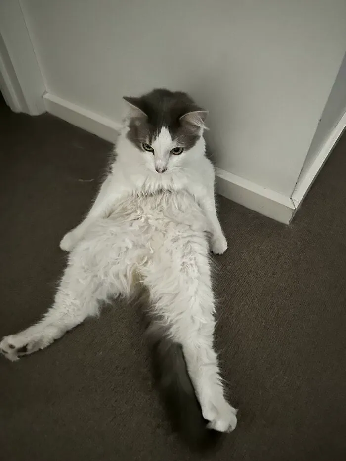 When You Remember That Embarrassing Moment From Years Ago
