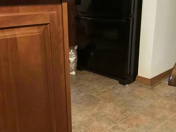 Maggie Trying To Be Subtle