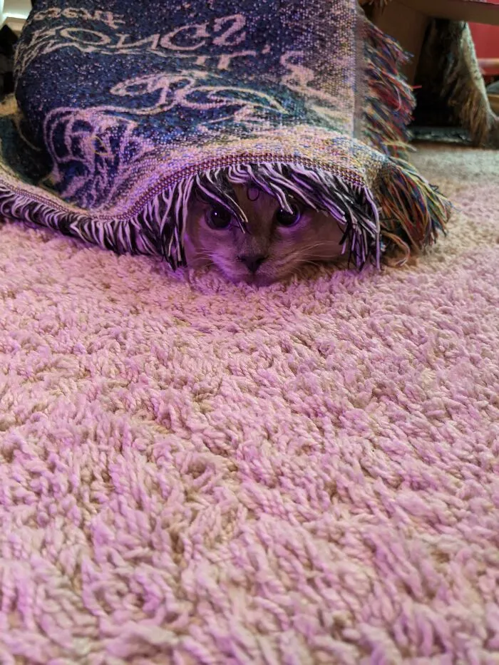 He Believes He Is Absolutely Invisible