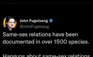 40 Times People Got Dragged Back To Earth With The Help Of Hilariously Savage Comebacks