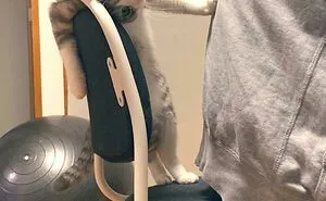 These 45 Cats Had A Lot To Meow About, And Their Owners Caught Them Doing Just That