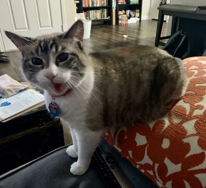 Don’t Judge My Sits!!!