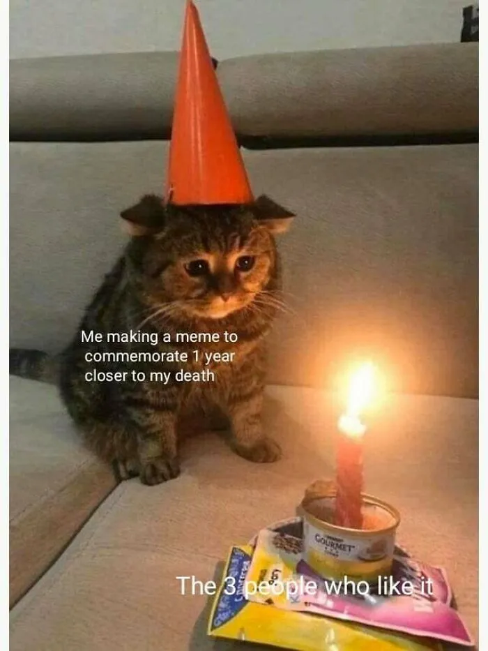 Celebrating Another Year Closer To The End: Cat Edition