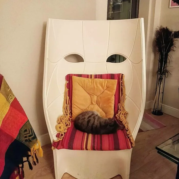 The Tiger King In His Chair