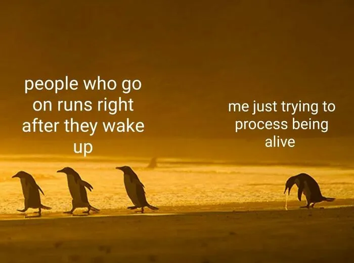 Morning Runners vs “Just Trying to Be Alive” Folks