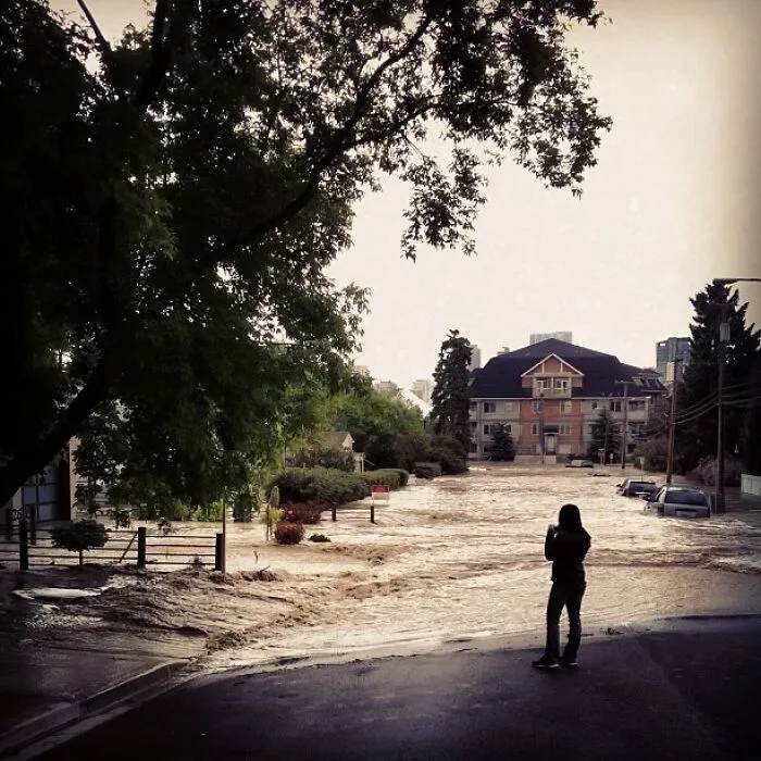 Sled Island (2013)