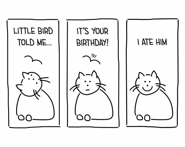Cat's Birthday Message
