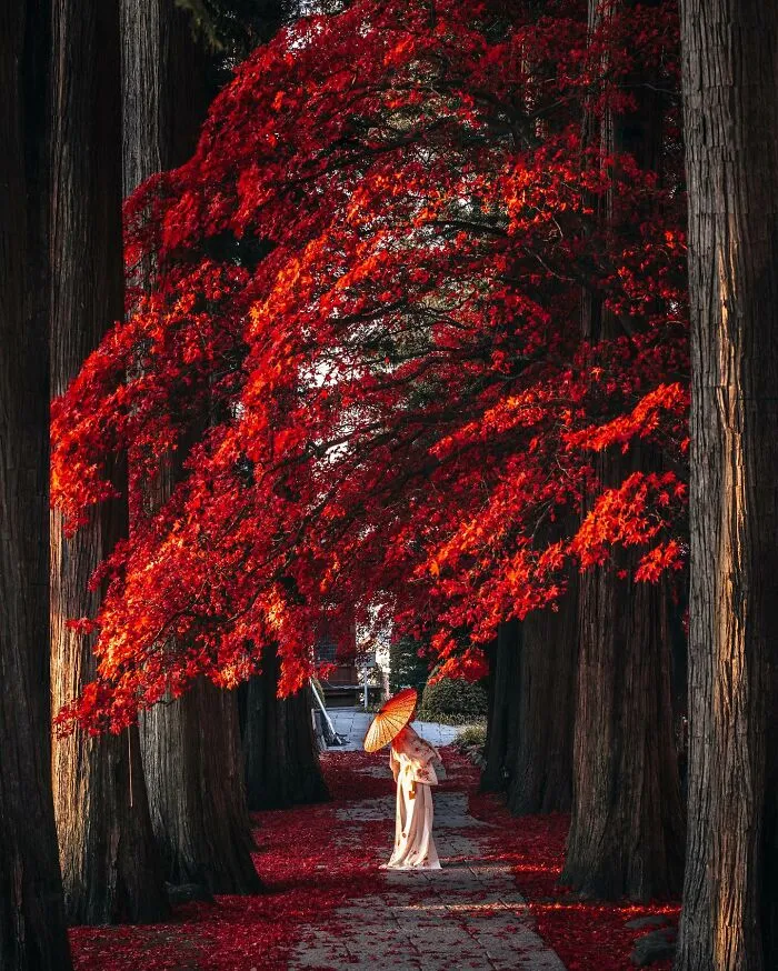 Japan