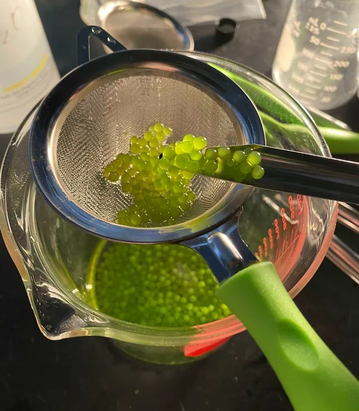 Las bolas de algas de mi laboratorio se ven deliciosas