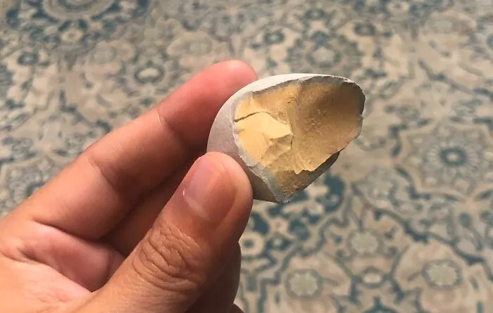 This Rock I Found On The Beach Looks Like A Hard-Boiled Egg