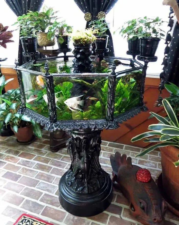 Victorian Aquarium From The 1880s