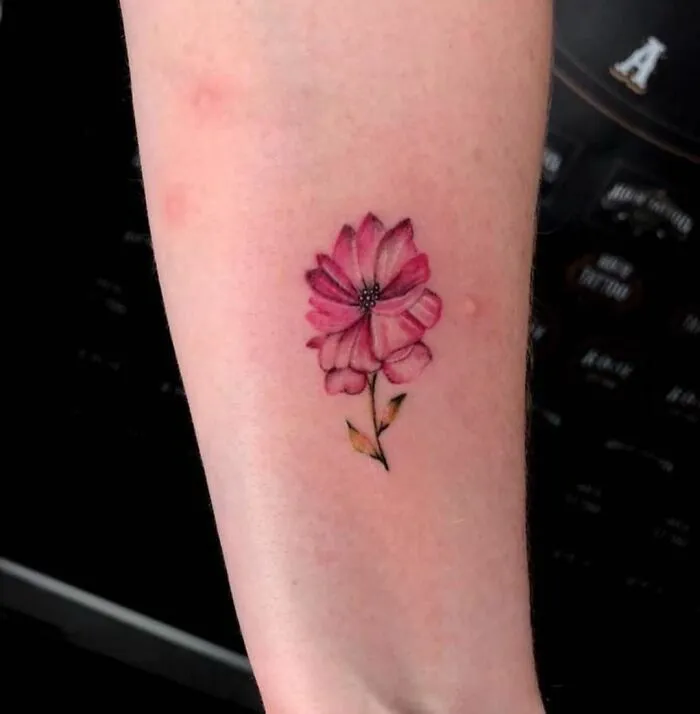 Pretty Flowers