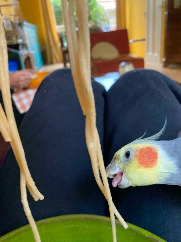 Ladrón de pasta