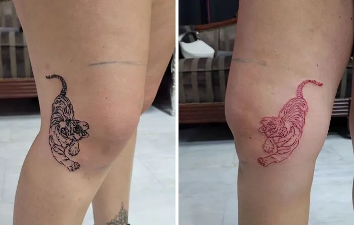 Tiger knee tattoos in black and red inks on two legs.