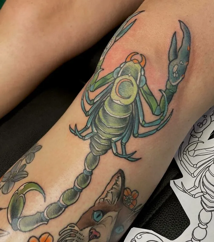 Colorful scorpion knee tattoo design with intricate details and bold colors.
