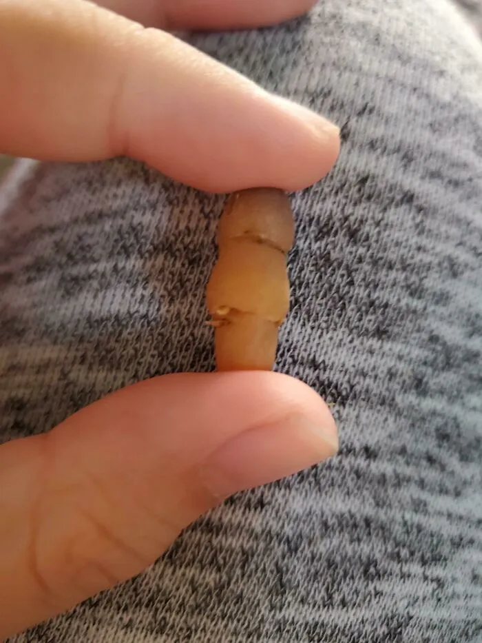 It's Supposed To Be A Carrot I Swear