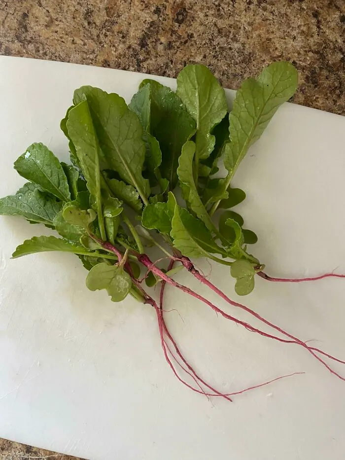 Stupid Radishes!