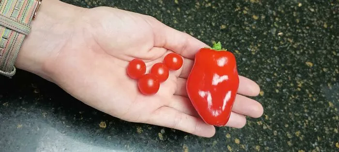 I'm Ready To Throw A Party With All The Salsa This Will Make