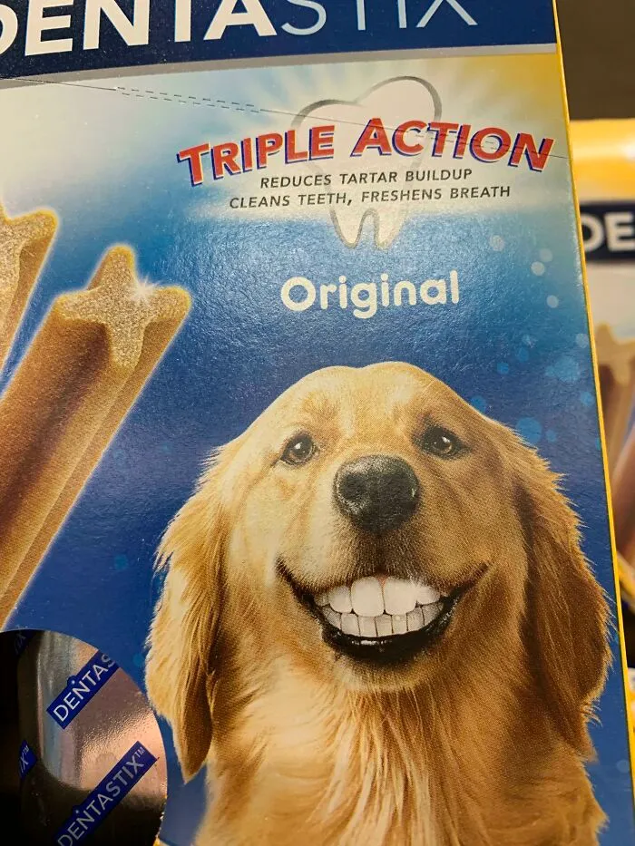 Perro con dientes humanos