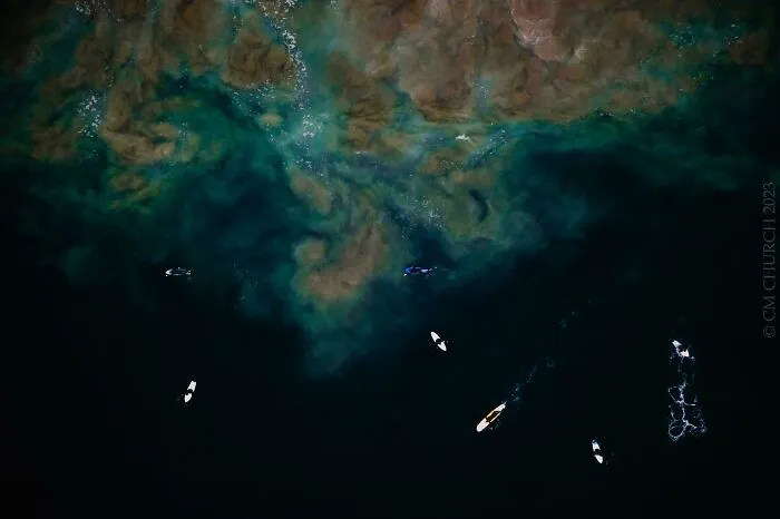 Surfistas sobre remolinos de cieno y profundidades de tinta. Morro Bay, California (EE.UU.)