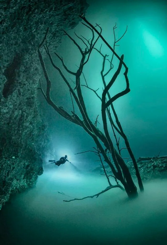 Buceo en cenotes en su máxima expresión