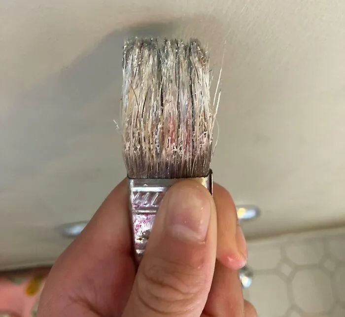 Mi hermano se enfadó porque le di mis materiales de arte baratos. Afirmó que no confiaba en él lo suficiente. Aquí está la prueba de por qué no puedo confiar en él