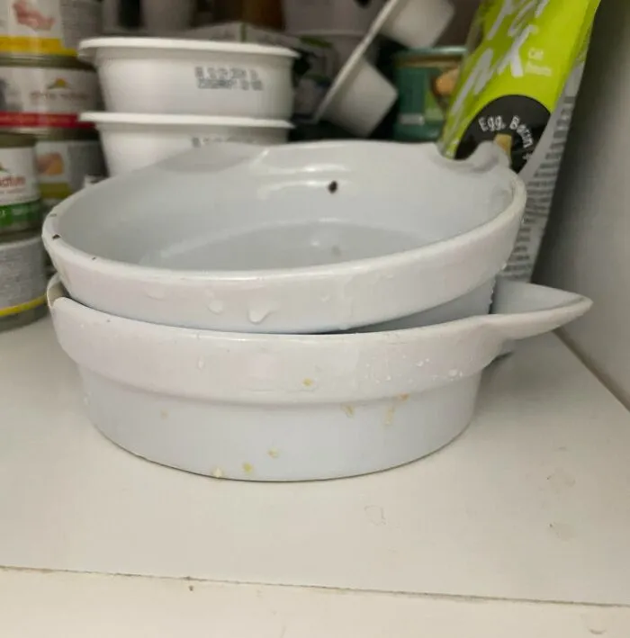 My Sister Says “Cats Don’t Need Clean Dishes” And Just Puts The Cat Bowls In The Cabinet With Large Pieces Of Food Still Stuck To Them