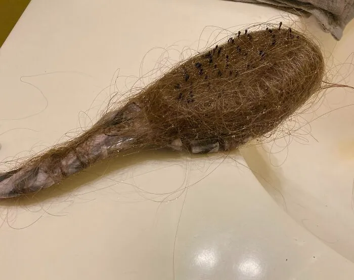 The Hair Brush My Daughter Leaves Hanging In The Shower