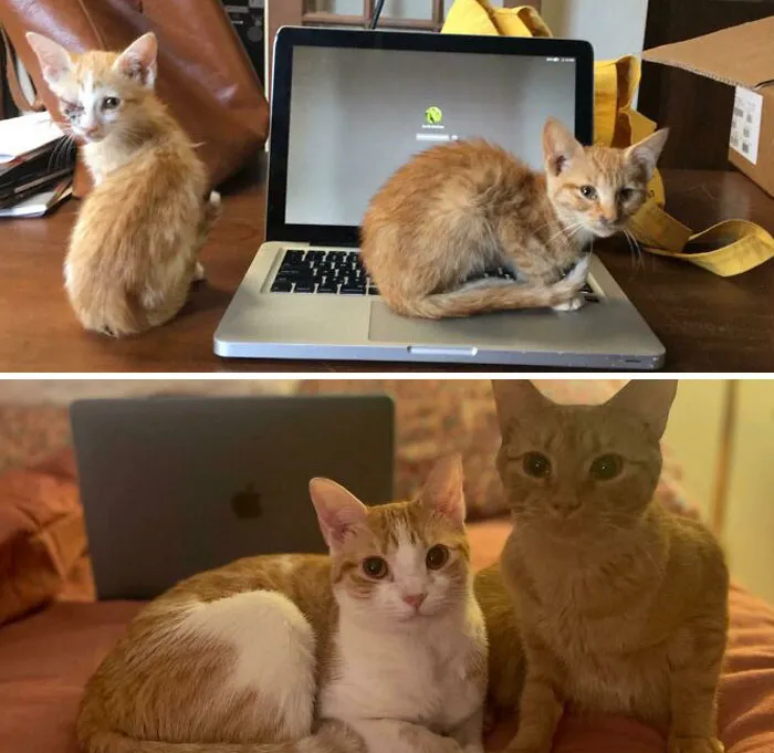 Rabbit & Cricket, 1 Year Later
