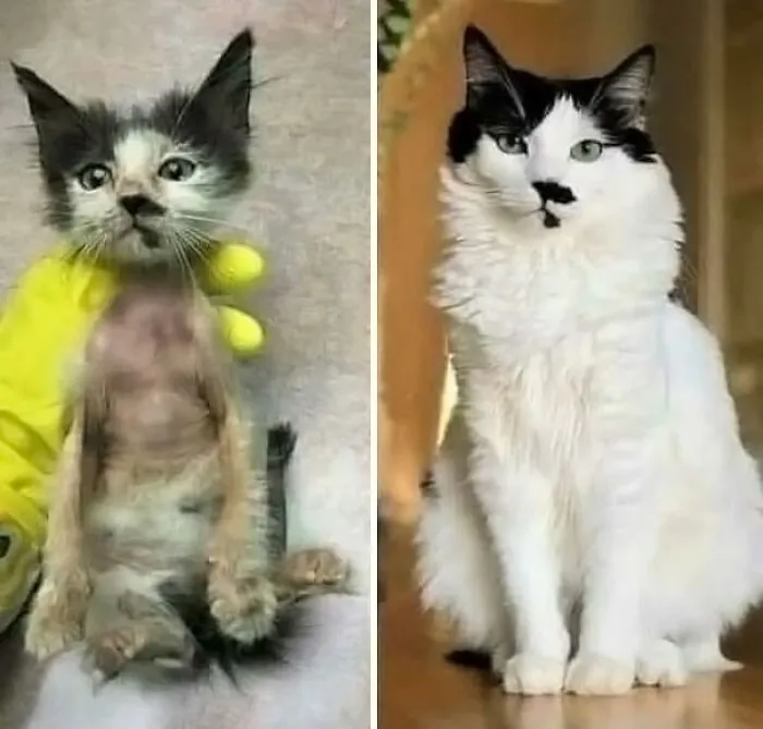 Antes y después
