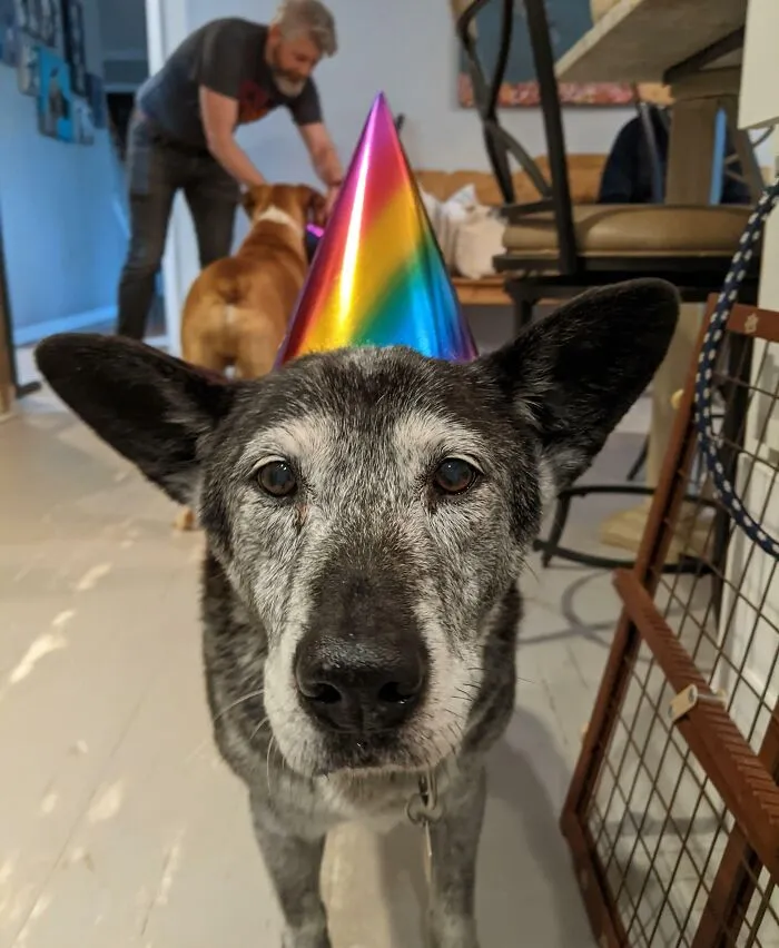 Protón hoy ha celebrado su cumpleaños número 16 