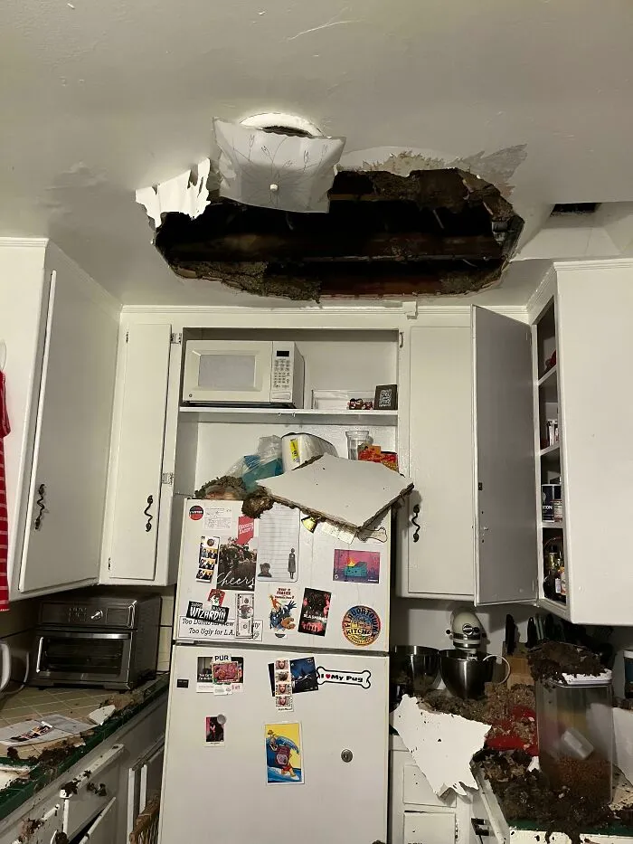 Been Asking The Landlord To Investigate The Sagging Roof In My Kitchen For Months Now, Came Home To Find This Tonight