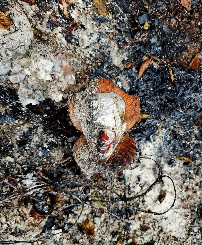 Un vecino perdió su cobertizo por un incendio y solo quedó esta máscara de Halloween