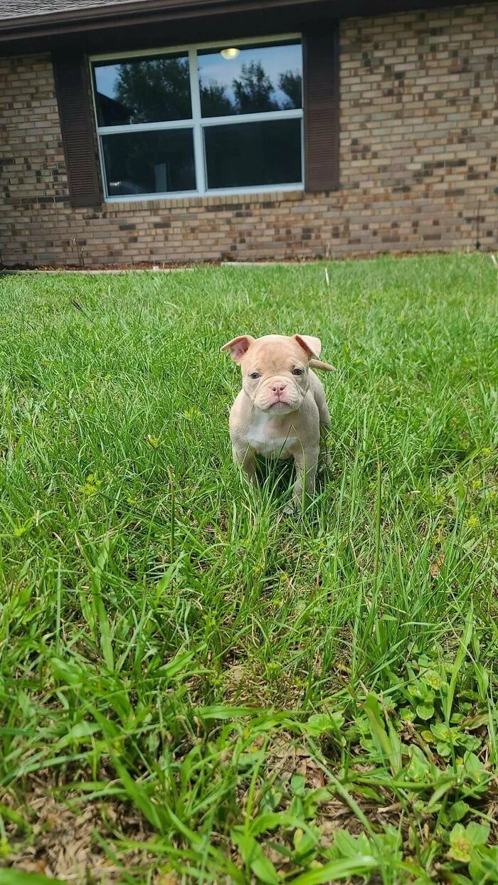 Pretty Girl Names For This Baby?