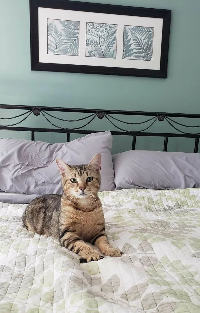 We Adopted This Sweet Boy!