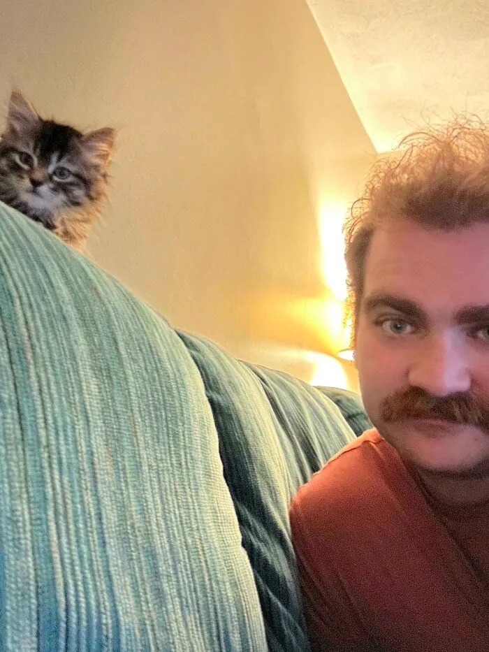 Meet Olive! My Second Kitty. Got Her From A Rescue Yesterday. Shes So Small