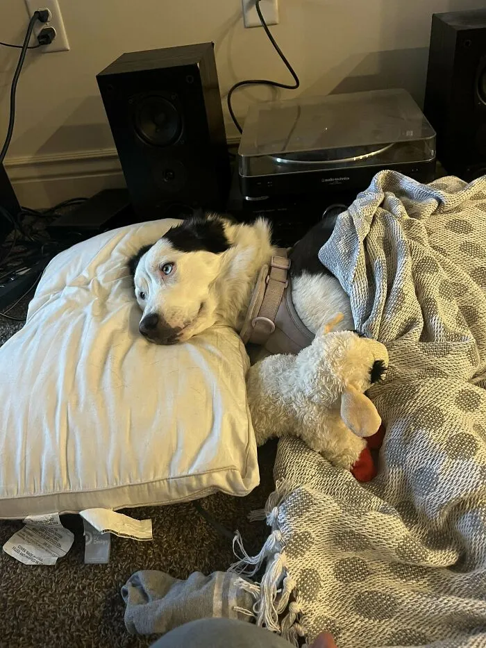 Adopted My Girl!