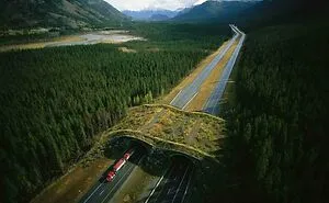 40 Examples Of Infrastructure That Show Why Engineers Who Think Outside The Box Must Be Celebrated (New Pics)