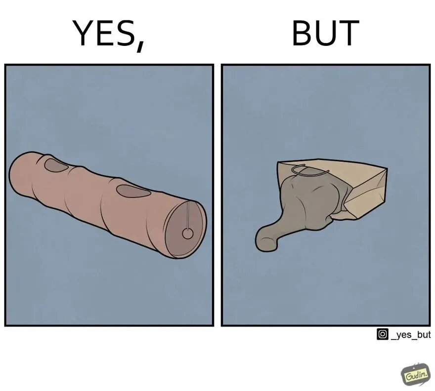 “Yes, But”: Artist Creates A Series Of Illustrations That Depict Our Society’s Contradictions, And Here Are 21 Of His Comics, Pet Edition