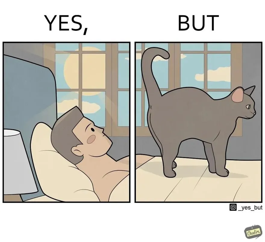 “Yes, But”: Artist Creates A Series Of Illustrations That Depict Our Society’s Contradictions, And Here Are 21 Of His Comics, Pet Edition