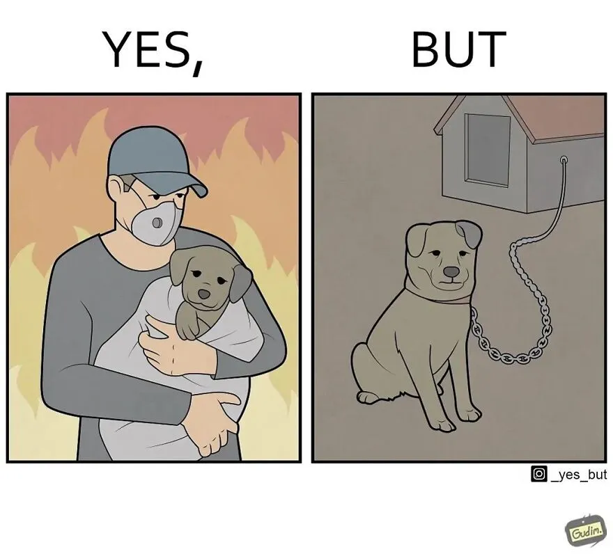 “Yes, But”: Artist Creates A Series Of Illustrations That Depict Our Society’s Contradictions, And Here Are 21 Of His Comics, Pet Edition