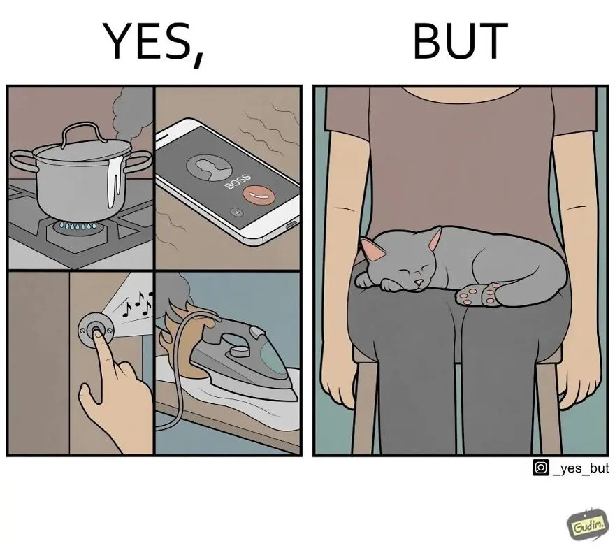 “Yes, But”: Artist Creates A Series Of Illustrations That Depict Our Society’s Contradictions, And Here Are 21 Of His Comics, Pet Edition