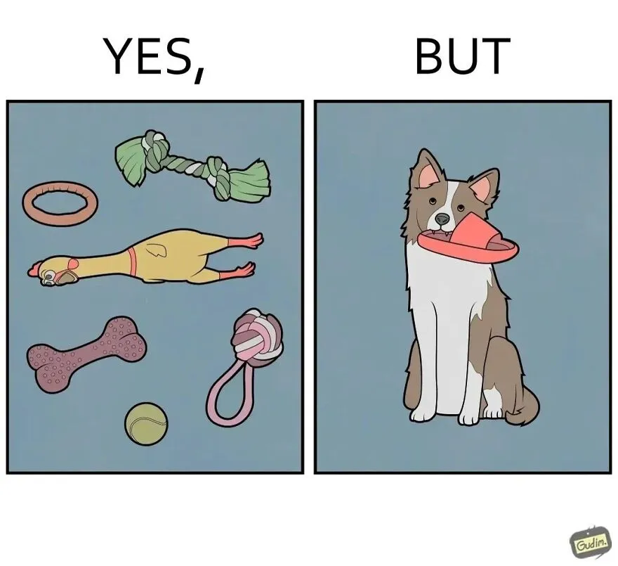 “Yes, But”: Artist Creates A Series Of Illustrations That Depict Our Society’s Contradictions, And Here Are 21 Of His Comics, Pet Edition