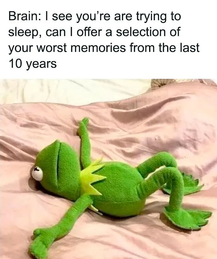 55 Kermit The Frog Memes That Might Make Your Day