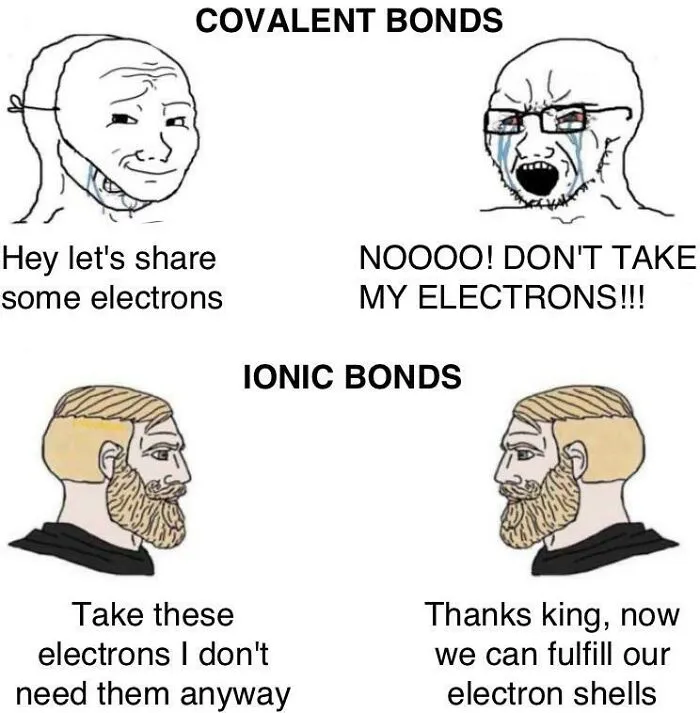 Chemistry meme comparing covalent bonds, sharing electrons, and ionic bonds, exchanging electrons, humorously.