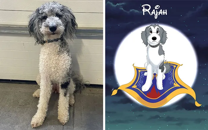 From Furballs To Fairytales: Artist Creates Adorable Pet Portraits In Disney Style (32 New Pics)